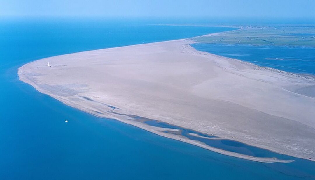 Emoción en Deltebre: Alquiler de Motos de Agua en la Delta del Ebro