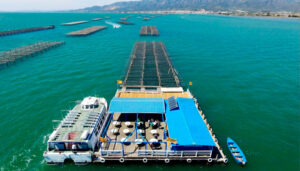 alquiler barcos casas de alcanar 288302
